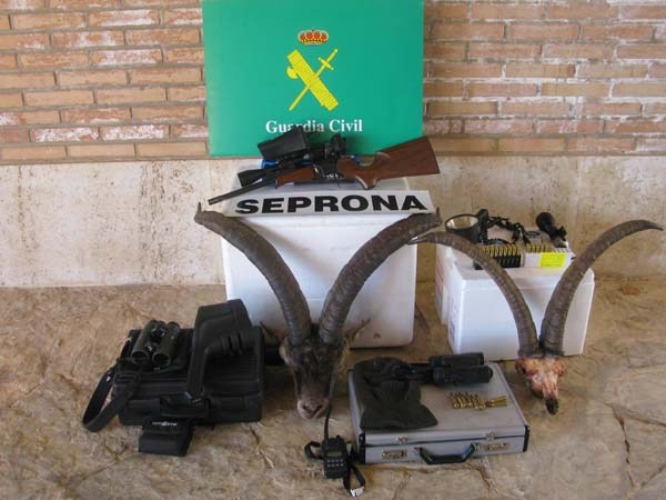 La Guardia Civil de Ávila da un nuevo golpe al Furtivismo en la Sierra de Gredos